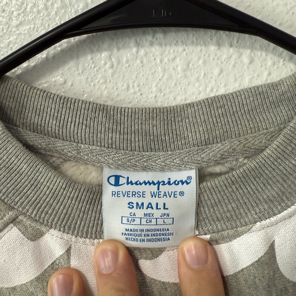 Champion Gray and White Sweatshirt